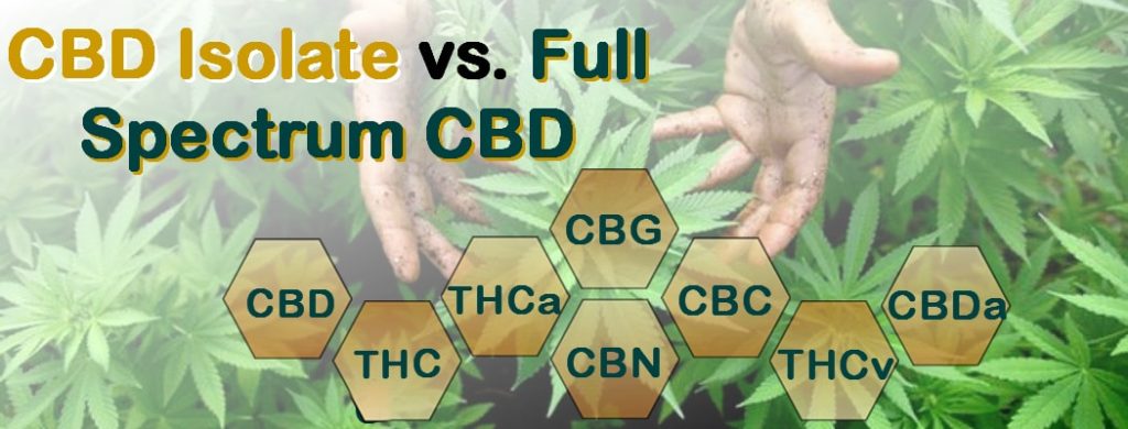Full Spectrum CBD Oil