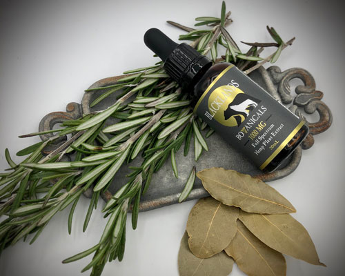 Eucalyptol can be found in Hemp